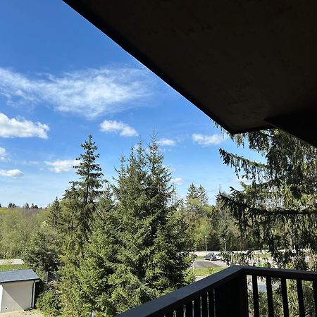 Apartman Pod Smrekom Demaenovska Dolina 外观 照片
