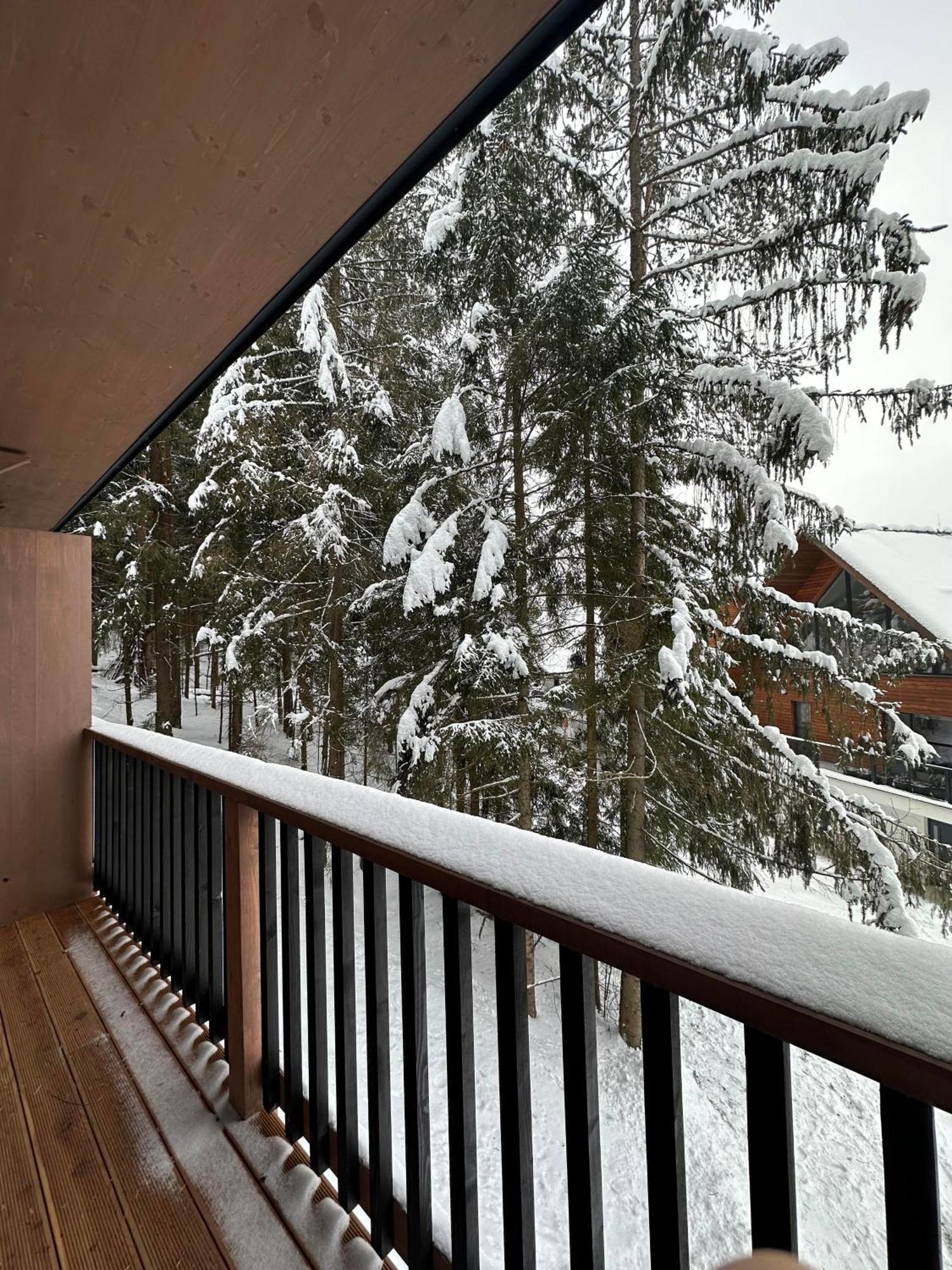 Apartman Pod Smrekom Demaenovska Dolina 外观 照片
