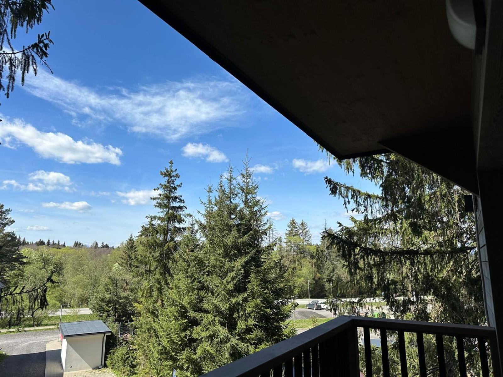 Apartman Pod Smrekom Demaenovska Dolina 外观 照片